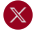 Ícone X / Twitter