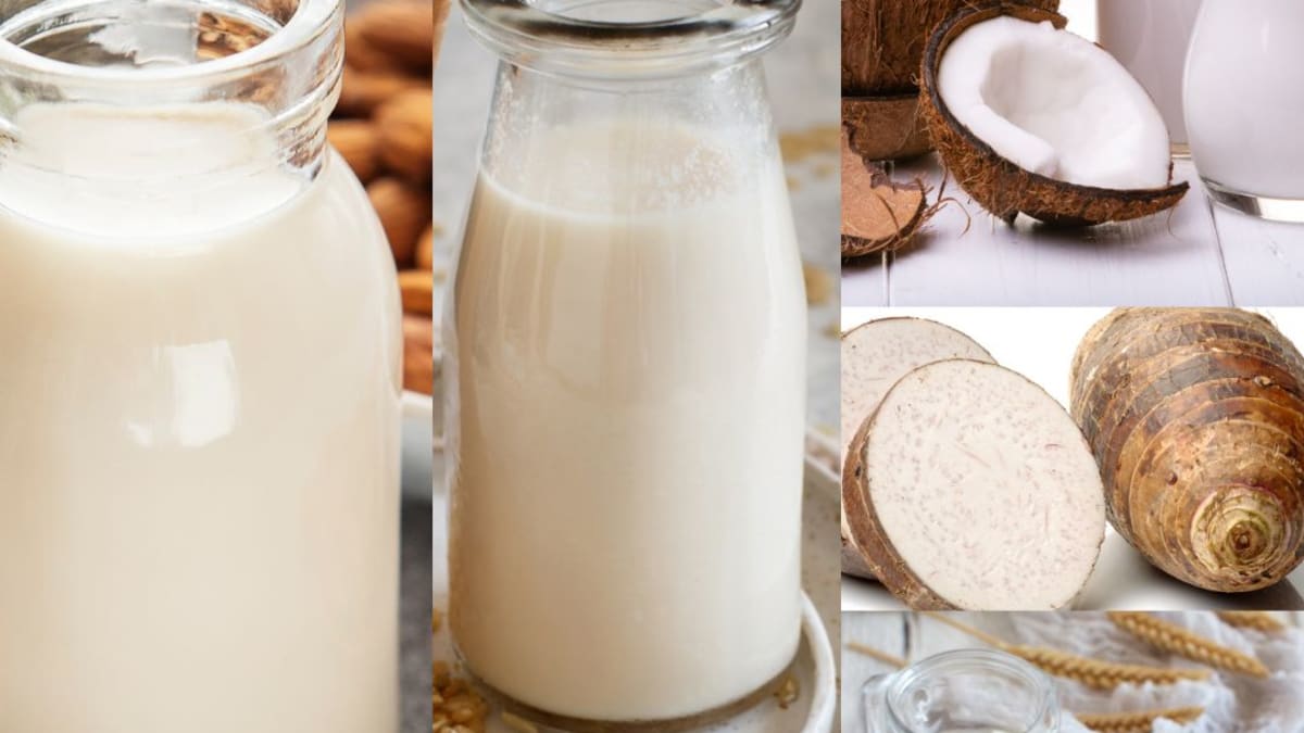 Imagem ilustrativa da receita LEITE VEGETAL OU VEGANO (de aveia, inhame, coco, amêndoas, arroz)